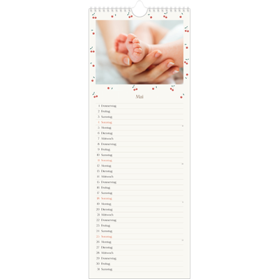 Küchenkalender  — Kleine Kirsche [deckblatt]