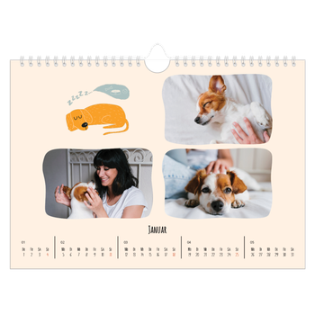 Fotokalender A4 — Hunde und Kritzeleien
