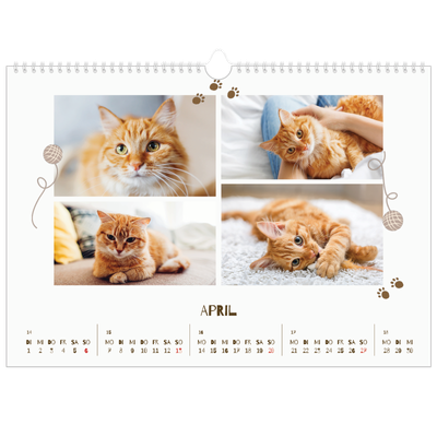 Fotokalender A3 — Verspieltes Kätzchen [April]