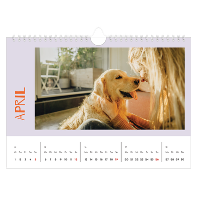 Fotokalender A4 — Farbenfroh wie du [April]