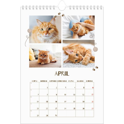 Fotokalender A4 (20 x 30 cm) — Verspieltes Kätzchen [April]