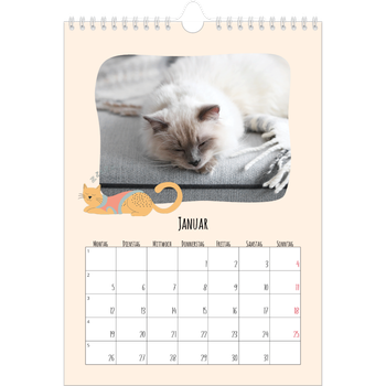 Fotokalender A4 — Katzen und Kritzeleien
