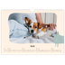 Fotokalender A3 — Hunde und Kritzeleien [Februar]