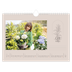 Fotokalender A4 — Einfach botanisch [Marsch]
