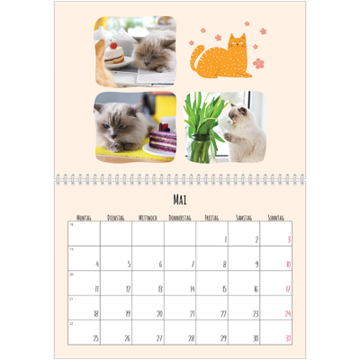 Fotokalender A4 doppelt (30 x 40 cm) — Katzen und Kritzeleien [deckblatt]