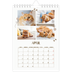 Fotokalender A5 — Verspieltes Kätzchen [April]