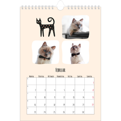 Fotokalender A4 (20 x 30 cm) — Katzen und Kritzeleien [Februar]