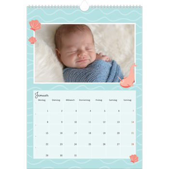 Fotokalender A3 — Süße Tiere