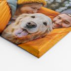 Foto auf Leinwand » Leinwandbilder Testsieger 2025